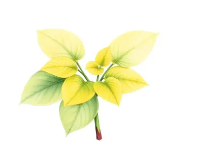 AI-generated watercolor illustration of Hosta 'Abby' (not a photograph)