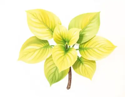AI-generated watercolor illustration of Hosta 'Academy Beech Leaf Stack' (not a photograph)