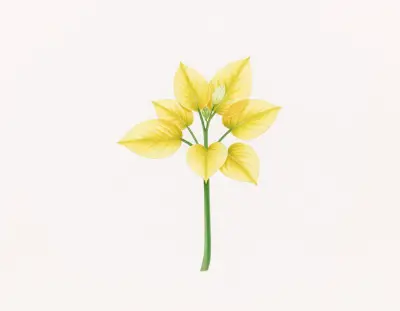 AI-generated watercolor illustration of Hosta 'Anglo Saxon' (not a photograph)