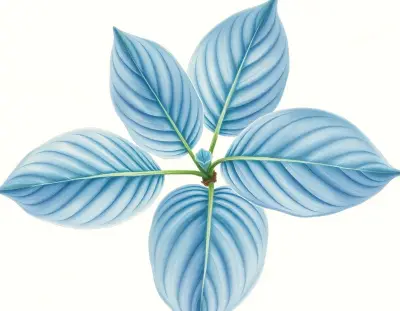 AI-generated watercolor illustration of Hosta 'Aurora Borealis' (not a photograph)