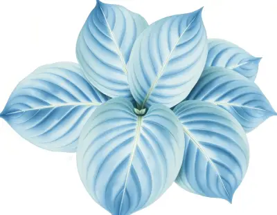 AI-generated watercolor illustration of Hosta 'Azure Frost' (not a photograph)