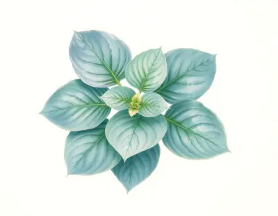 AI-generated watercolor illustration of Hosta 'Baby Bunting' (not a photograph)