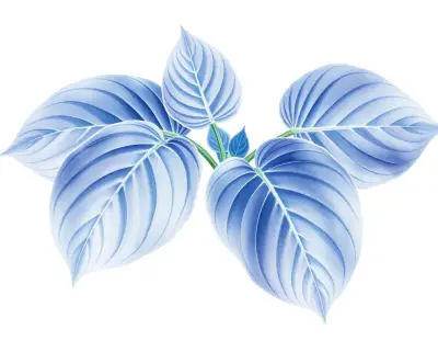 AI-generated watercolor illustration of Hosta 'Belle of the Ball' (not a photograph)