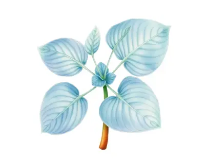AI-generated watercolor illustration of Hosta 'Betcher's Blue' (not a photograph)