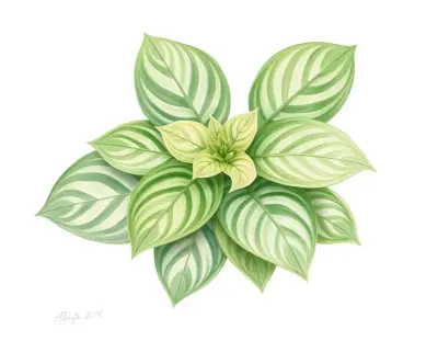 AI-generated watercolor illustration of Hosta 'Bette Davis Eyes' (not a photograph)