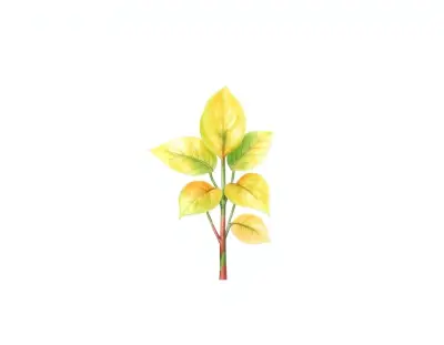 AI-generated watercolor illustration of Hosta 'Bilben Little Atlantis' (not a photograph)