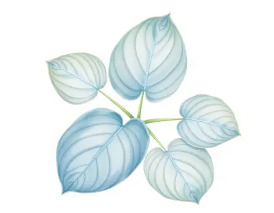 AI-generated watercolor illustration of Hosta 'Bohemia Ripple Blue Effect' (not a photograph)