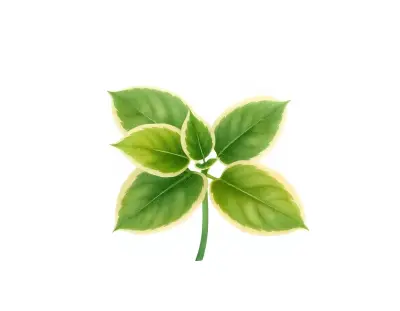 AI-generated watercolor illustration of Hosta 'Bold Edger' (not a photograph)