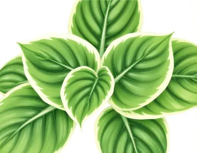 AI-generated watercolor illustration of Hosta 'Champagne for All' (not a photograph)