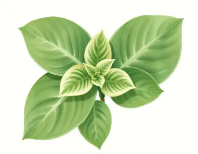 AI-generated watercolor illustration of Hosta 'Christmas Candy' (not a photograph)