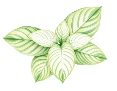 AI-generated watercolor illustration of Hosta 'Cloud Sweeper' (not a photograph)