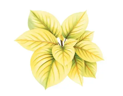 AI-generated watercolor illustration of Hosta 'Continental Divide' (not a photograph)