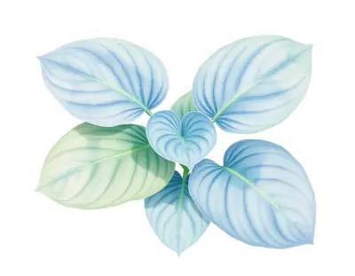 AI-generated watercolor illustration of Hosta 'Cool Cat' (not a photograph)