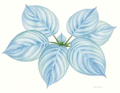 AI-generated watercolor illustration of Hosta 'Cory's Beauty' (not a photograph)