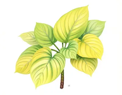 AI-generated watercolor illustration of Hosta 'Crossing the Rubicon' (not a photograph)