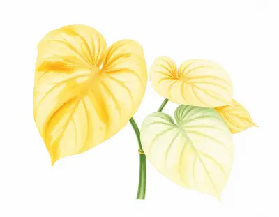 AI-generated watercolor illustration of Hosta 'Devon Desire' (not a photograph)
