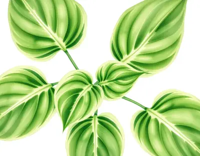 AI-generated watercolor illustration of Hosta 'Dewline' (not a photograph)