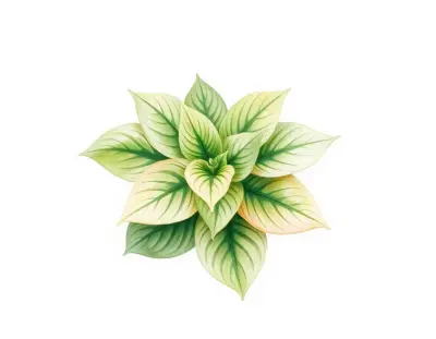 AI-generated watercolor illustration of Hosta 'Dianne' (not a photograph)