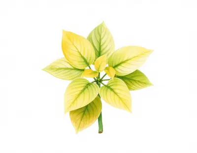 AI-generated watercolor illustration of Hosta 'Dim Sum' (not a photograph)