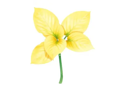 AI-generated watercolor illustration of Hosta 'Donna' (not a photograph)