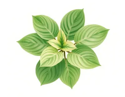 AI-generated watercolor illustration of Hosta 'Drummer Boy' (not a photograph)