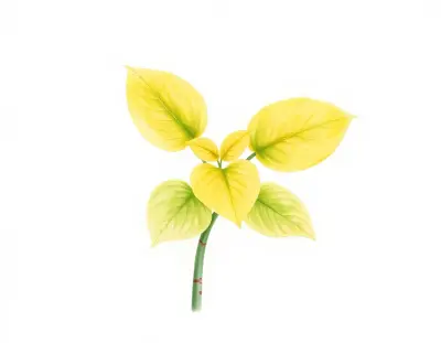 AI-generated watercolor illustration of Hosta 'Ducet' (not a photograph)
