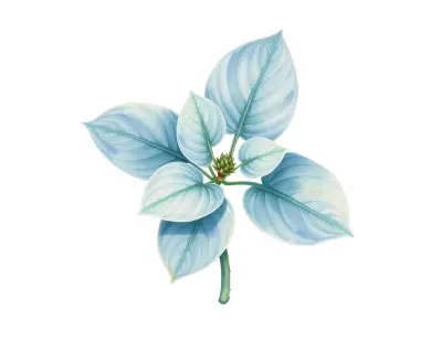 AI-generated watercolor illustration of Hosta 'Dustin More' (not a photograph)