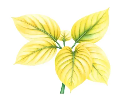 AI-generated watercolor illustration of Hosta 'Eagle's Nest' (not a photograph)