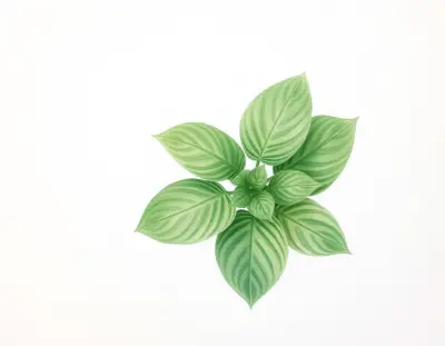 AI-generated watercolor illustration of Hosta 'Elizabeth DeBird' (not a photograph)