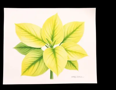 AI-generated watercolor illustration of Hosta 'Embraceable You' (not a photograph)