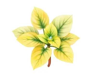 AI-generated watercolor illustration of Hosta 'Emerald Tiara' (not a photograph)