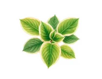 AI-generated watercolor illustration of Hosta 'Emily Dickinson' (not a photograph)