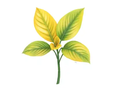 AI-generated watercolor illustration of Hosta 'Endless Summer' (not a photograph)