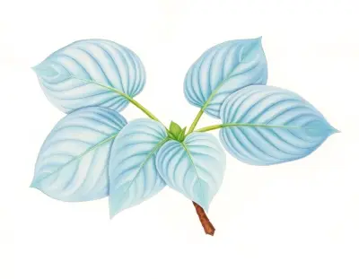 AI-generated watercolor illustration of Hosta 'Enigma' (not a photograph)