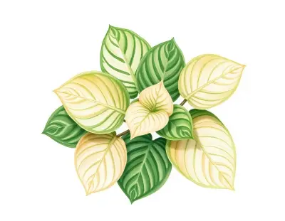 AI-generated watercolor illustration of Hosta 'Eunice Choice' (not a photograph)