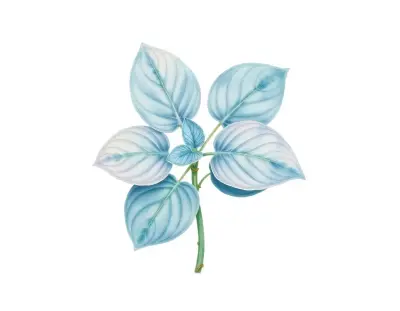 AI-generated watercolor illustration of Hosta 'Everlasting Love' (not a photograph)