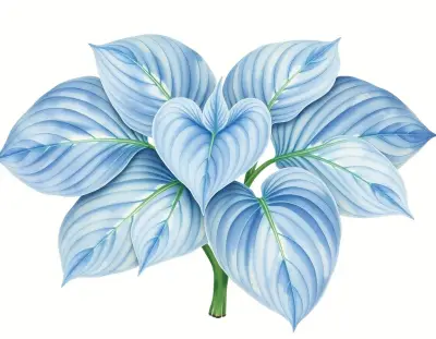 AI-generated watercolor illustration of Hosta 'Filagree' (not a photograph)
