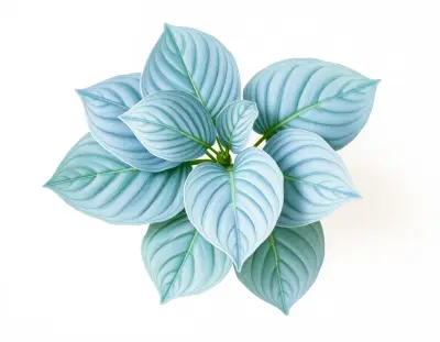 AI-generated watercolor illustration of Hosta 'Floratini' (not a photograph)