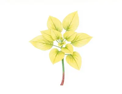 AI-generated watercolor illustration of Hosta 'Forest Paintbrush' (not a photograph)