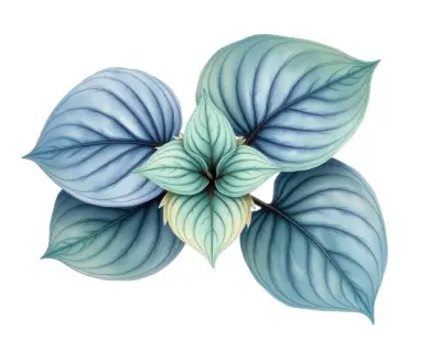 AI-generated watercolor illustration of Hosta 'Ghost Mouse' (not a photograph)