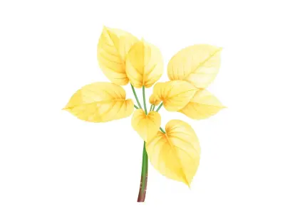 AI-generated watercolor illustration of Hosta 'Gilded Tiara' (not a photograph)