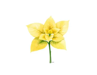 AI-generated watercolor illustration of Hosta 'Gingee' (not a photograph)