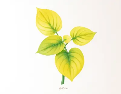 AI-generated watercolor illustration of Hosta 'Gold Regal' (not a photograph)