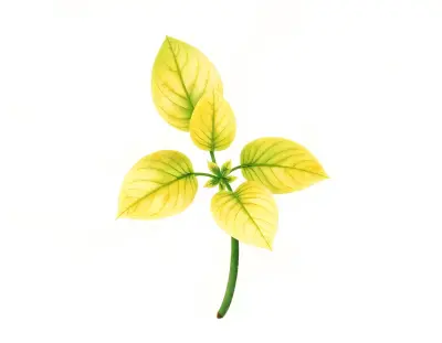AI-generated watercolor illustration of Hosta 'Golden Empress' (not a photograph)