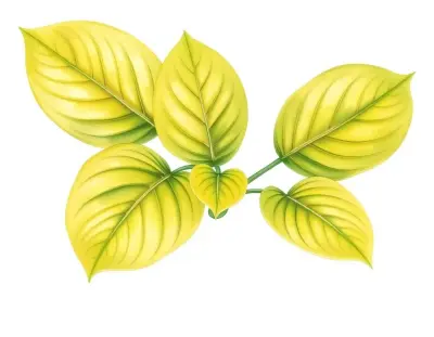AI-generated watercolor illustration of Hosta 'Golden Fountain' (not a photograph)