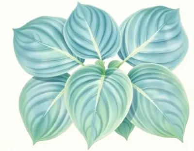 AI-generated watercolor illustration of Hosta 'Grand Master' (not a photograph)