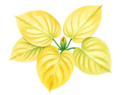AI-generated watercolor illustration of Hosta 'Grecian Green' (not a photograph)