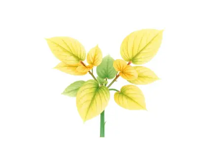 AI-generated watercolor illustration of Hosta 'Hannah Hanson' (not a photograph)