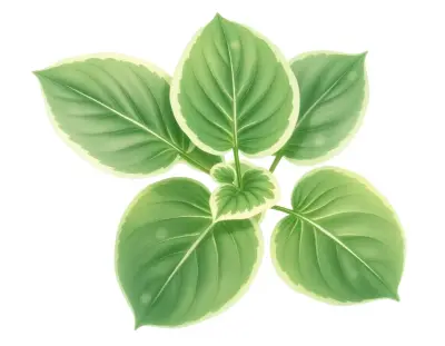AI-generated watercolor illustration of Hosta 'Hertha' (not a photograph)