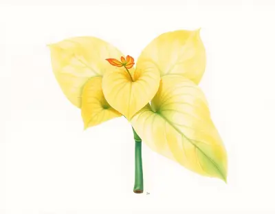 AI-generated watercolor illustration of Hosta 'High Fidelity' (not a photograph)